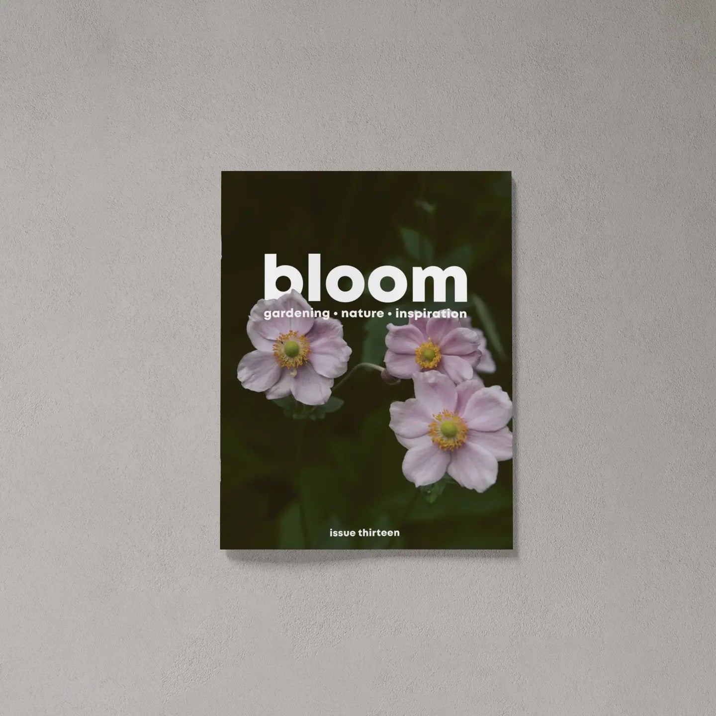 Issue 13 magazine – Autumn 2022 by Bloom