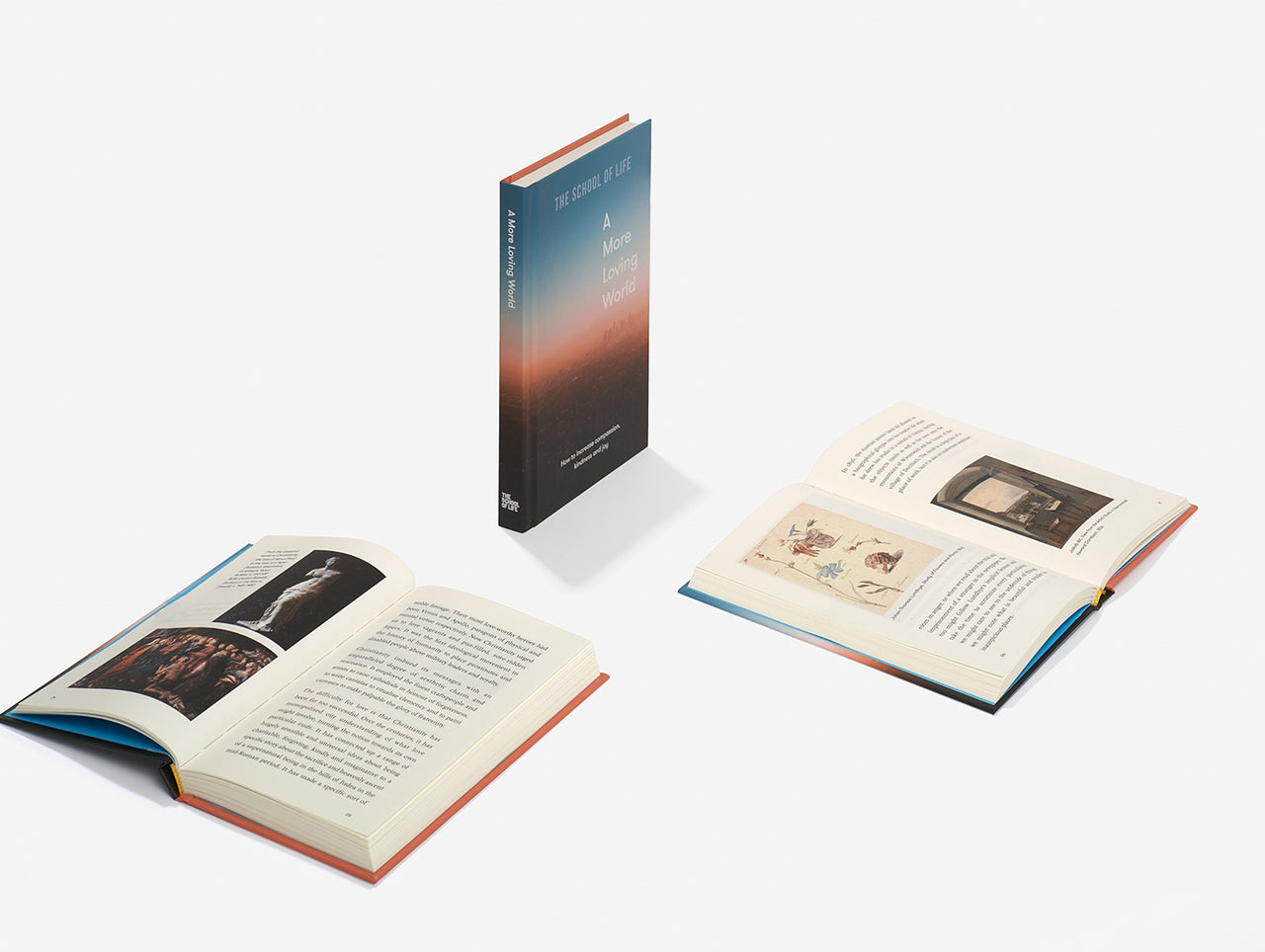 A More Loving World book by THE SCHOOL OF LIFE