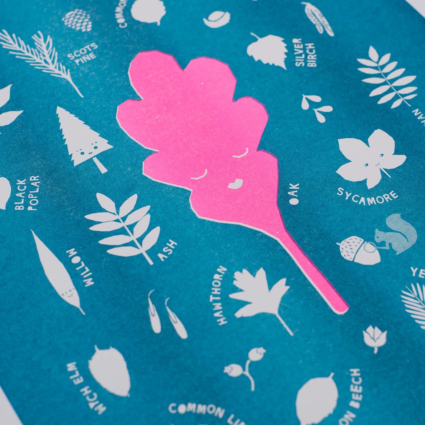 Guide to British Leaves A3 Riso Print by Bella & Phoenix