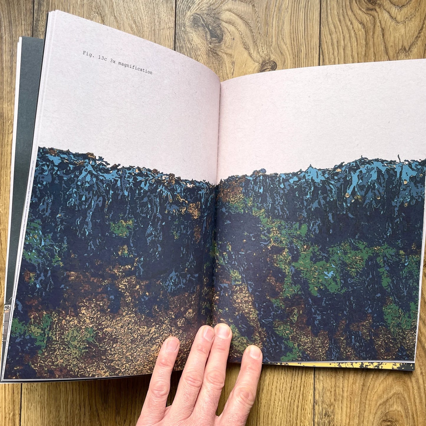 On A Train Home With The Sun In My Eyes - A new book by Chris Snow