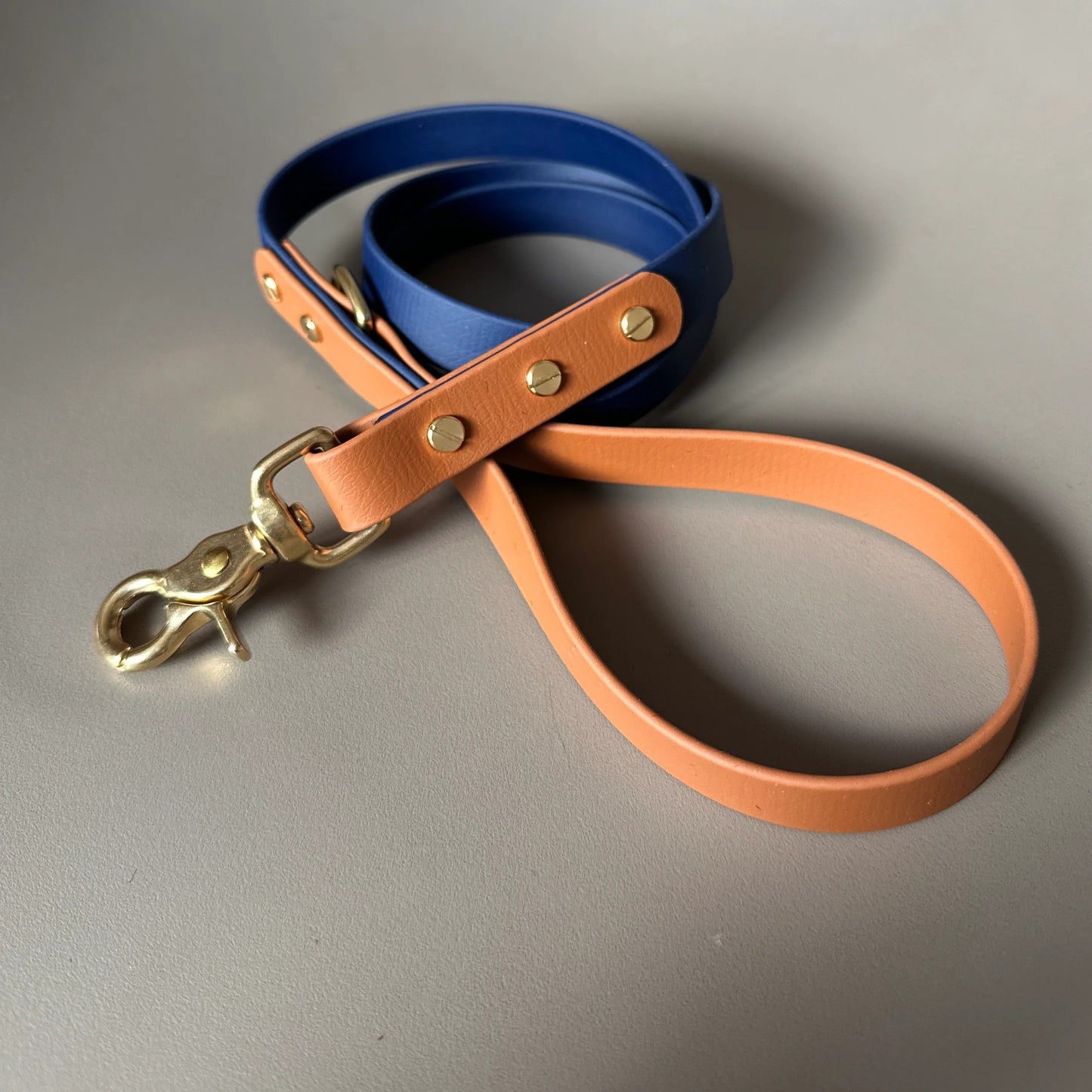 Buddy Colourblock BioThane® Red Dog Lead By Frank's Goods