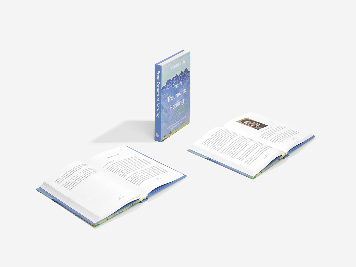 From Trauma to Healing book by THE SCHOOL OF LIFE