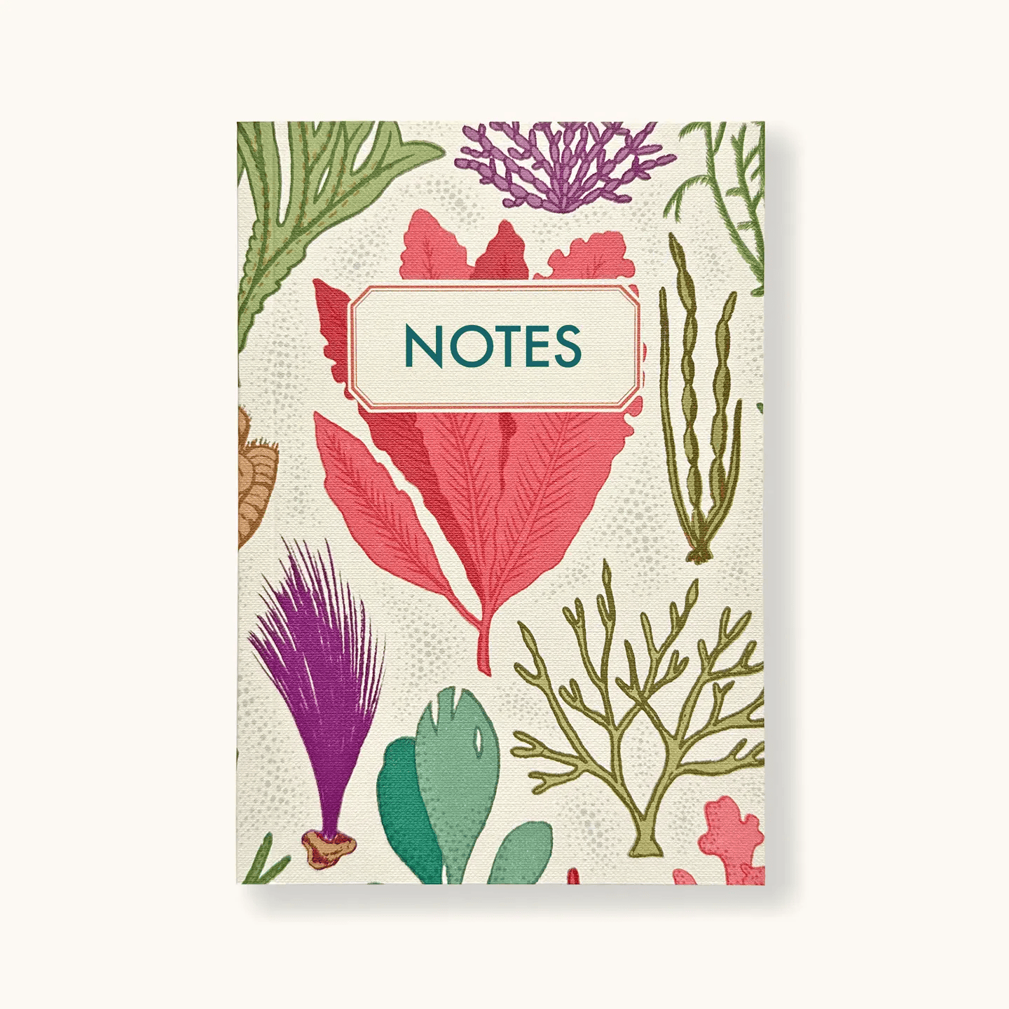 Seaweed Notebook by Sukie