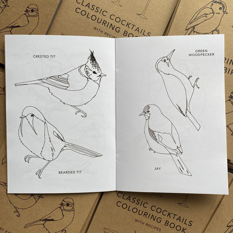 Colouring Book of Birds by Kate Broughton