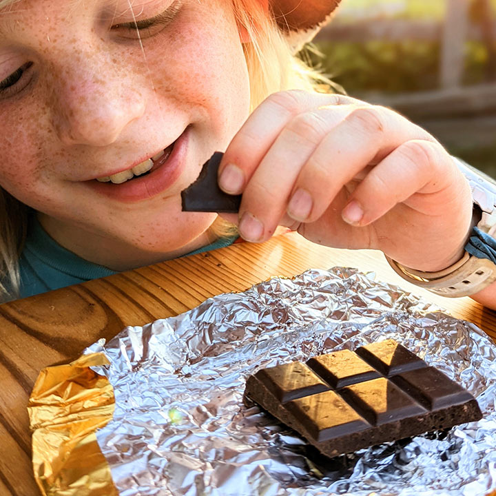Bee Free, Dark Chocolate Bar with Honeycomb by ARTHOUSE