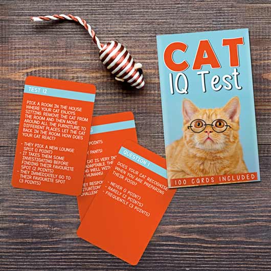 Cat Iq Test card game by Gift Republic