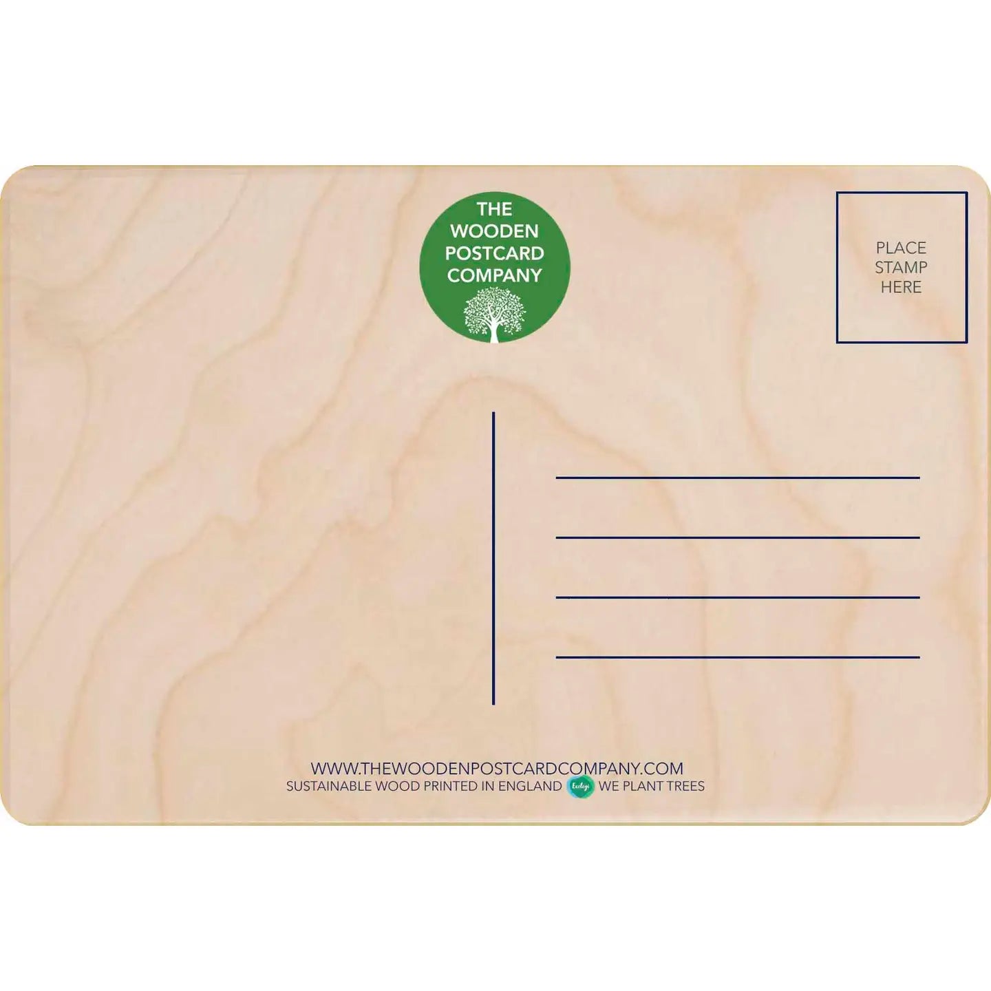 Sussex Brighton Wood Postcard Uk by THE WOODEN POSTCARD COMPANY