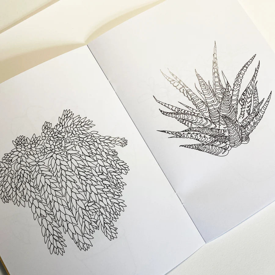 Houseplant Colouring Book by Kate Broughton