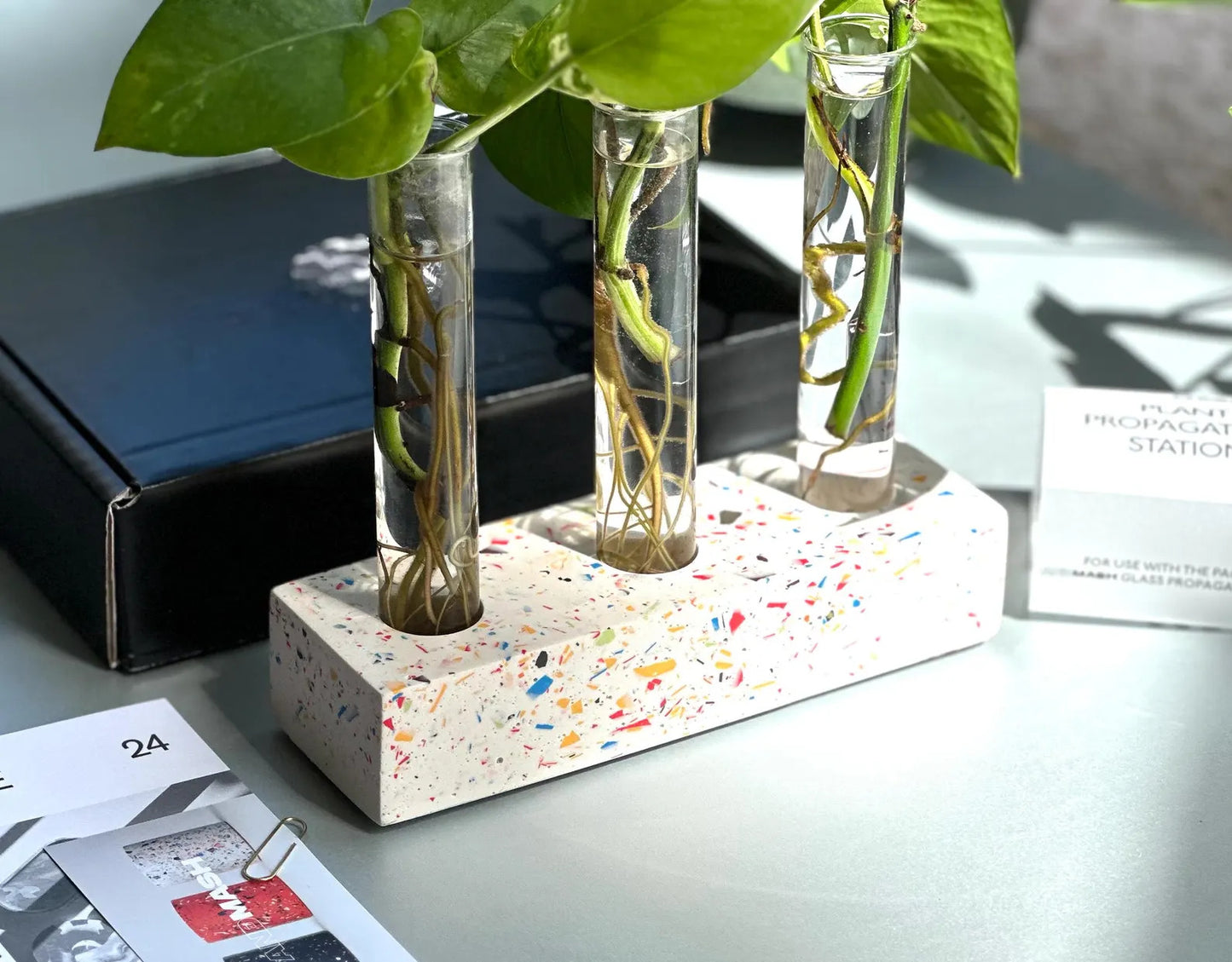 Handmade Plant Propagation Station - Glass Plant Propagator & Holder by AndMash