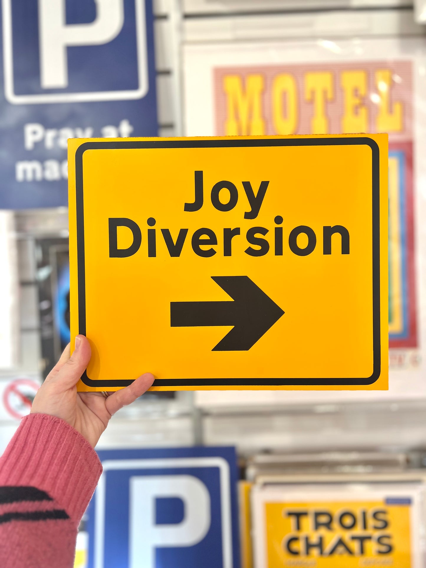 Joy Diversion Sign By Dr D / Subvertiser