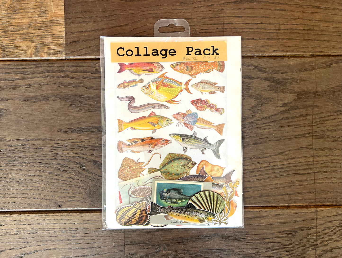 Fish Collage Pack By Bella Does Brighton