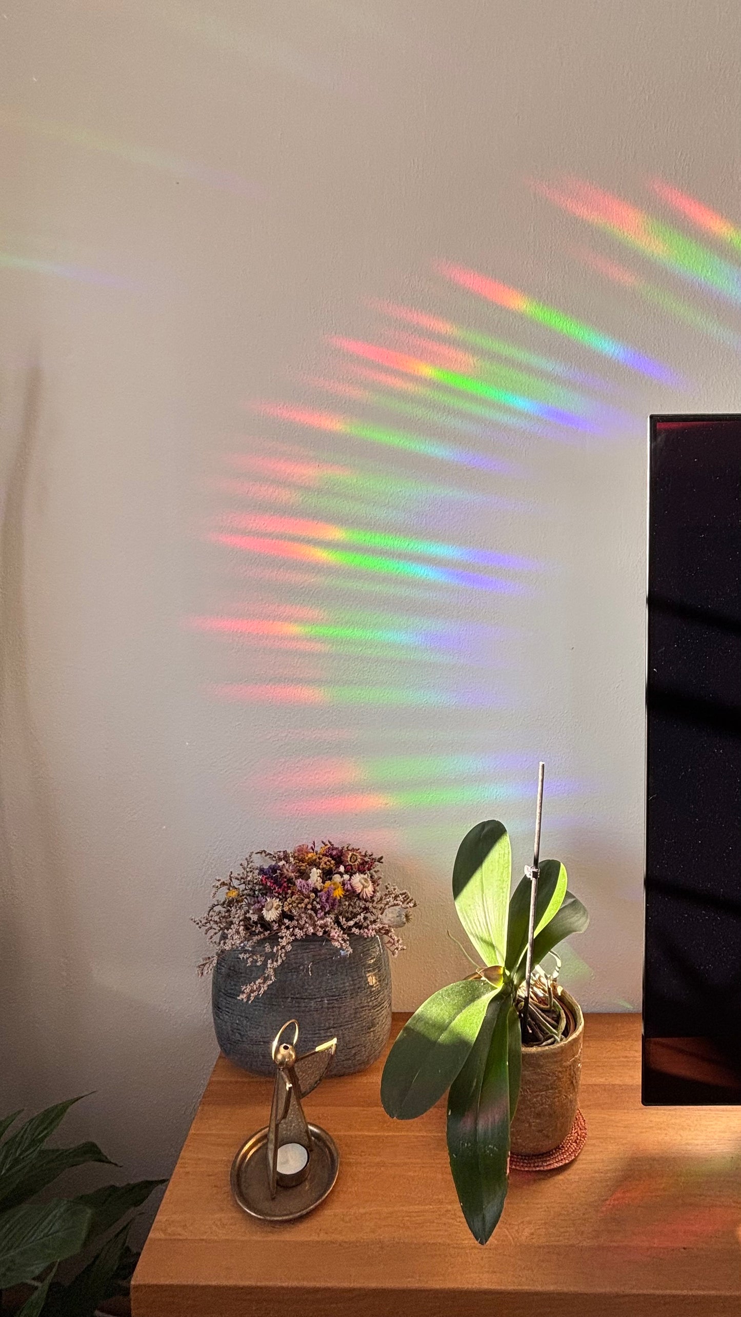 HEART Suncatcher by Gleeful Hive