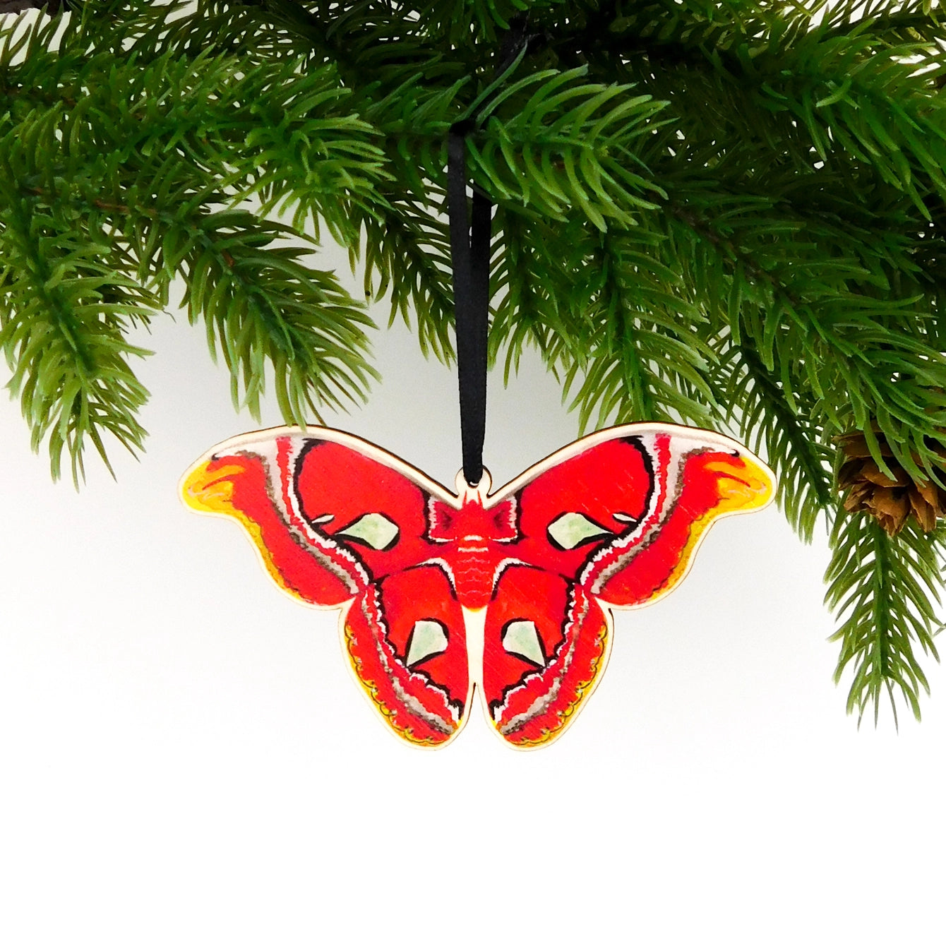 Atlas Moth Hanging Decoration by Also the Bison