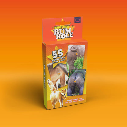 Name That Bumhole | Fun Family Flashcard Trivia Game