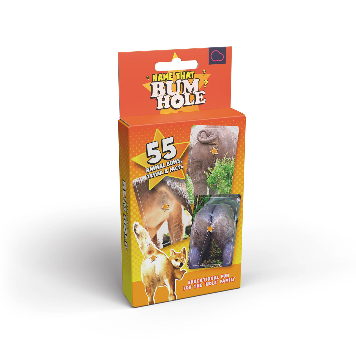 Name That Bumhole | Fun Family Flashcard Trivia Game
