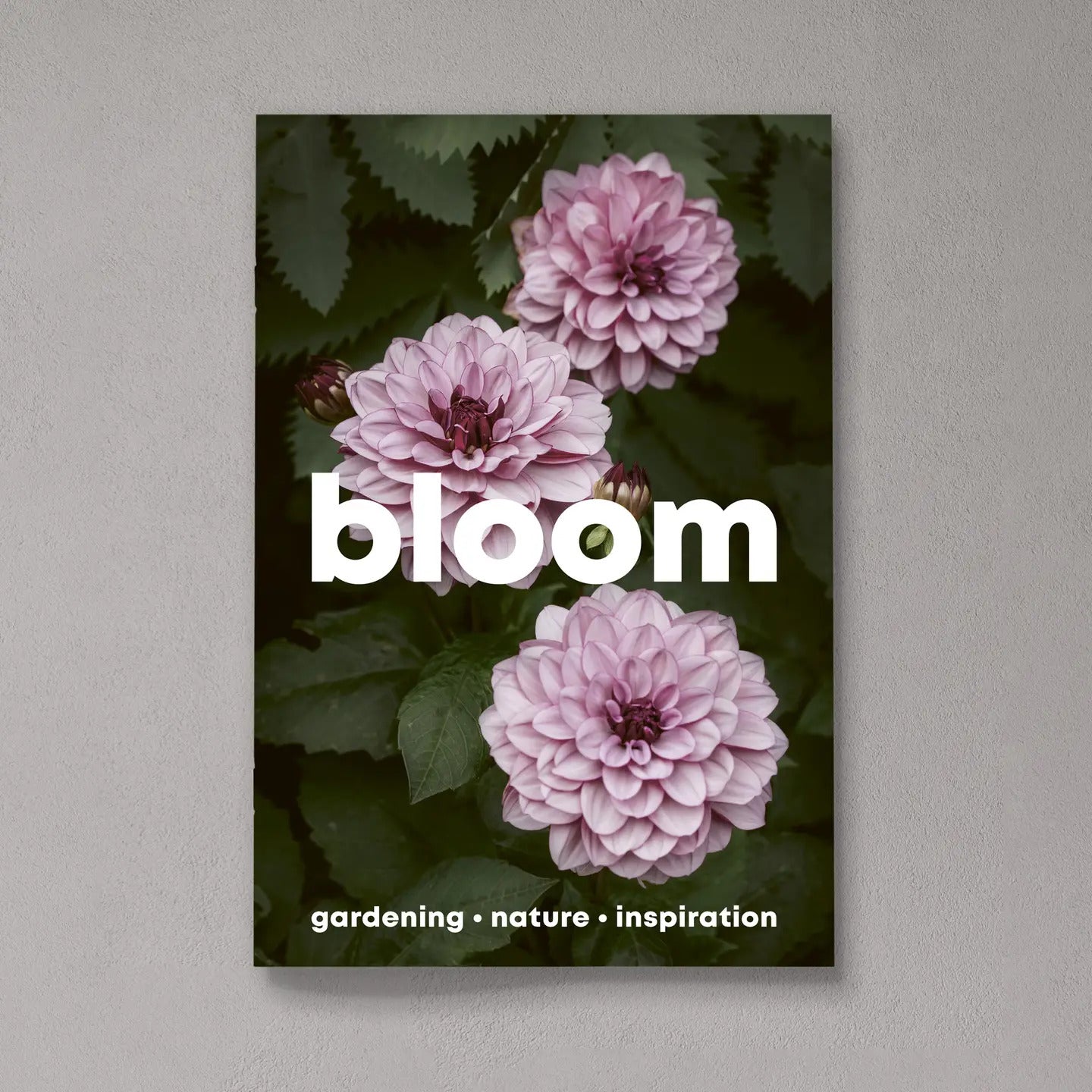 Issue 16 – Spring/Summer 2024 Gardening Magazine by Bloom