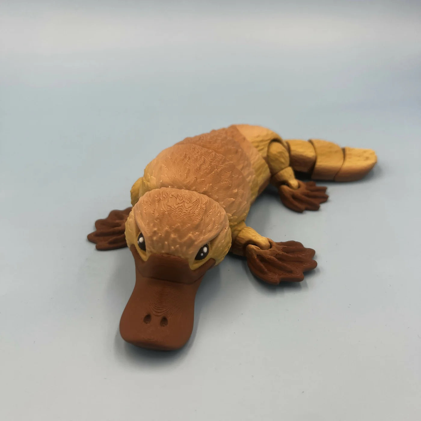 Platypus Sensory Fidget 3D printed by 3Dcre8