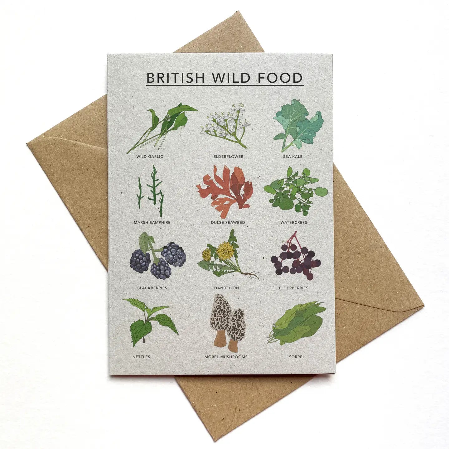 British Wild Food Illustrated Card by Kate Broughton