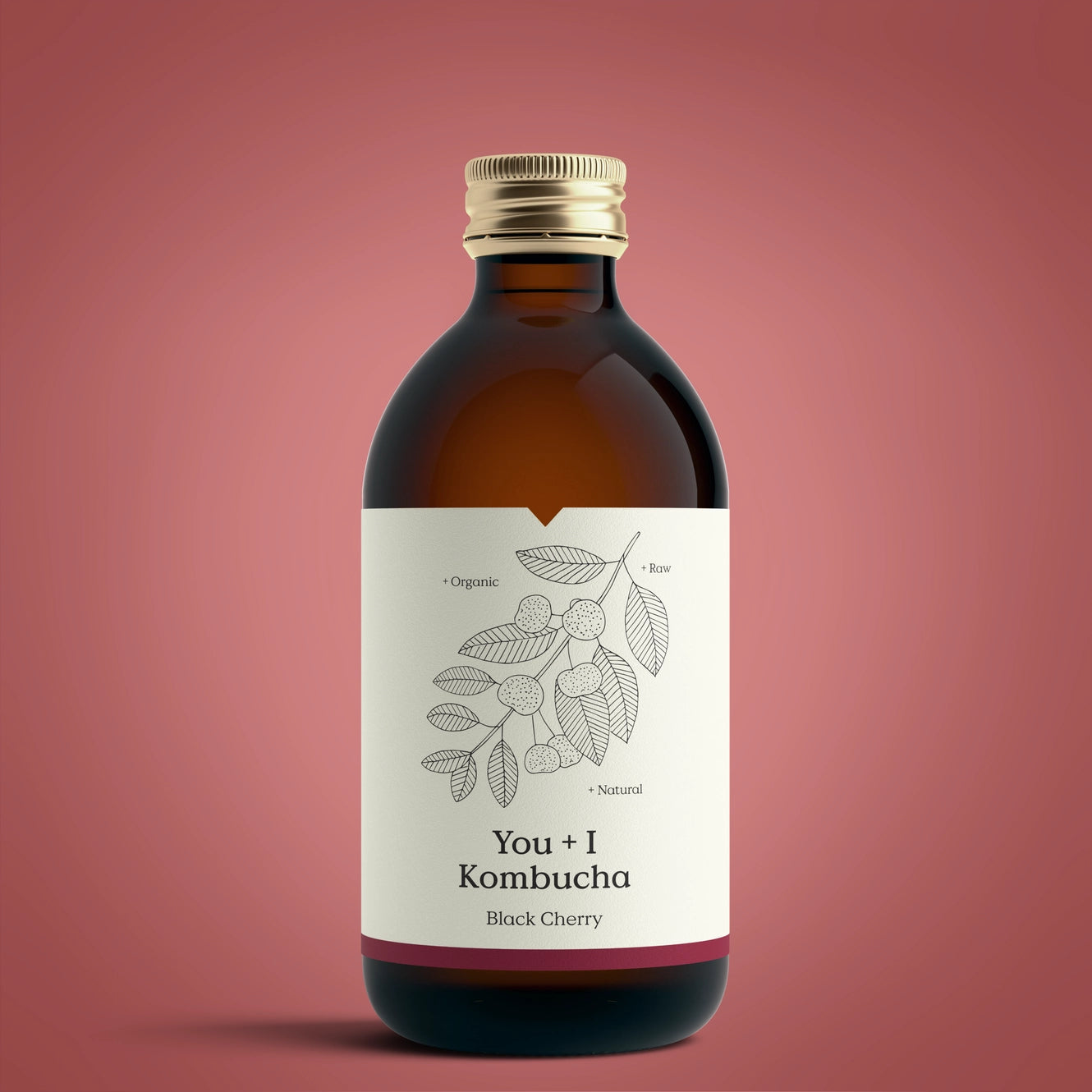 Kombucha Sparkling Living Tea By You + I