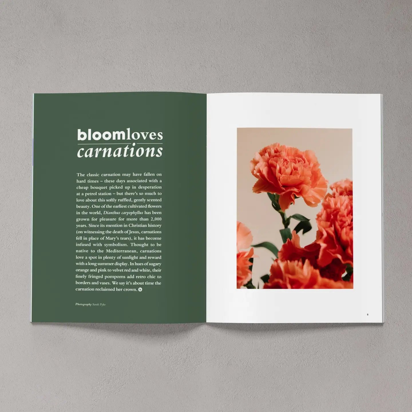 Issue 9 – Summer 2021 Gardening Magazine by Bloom