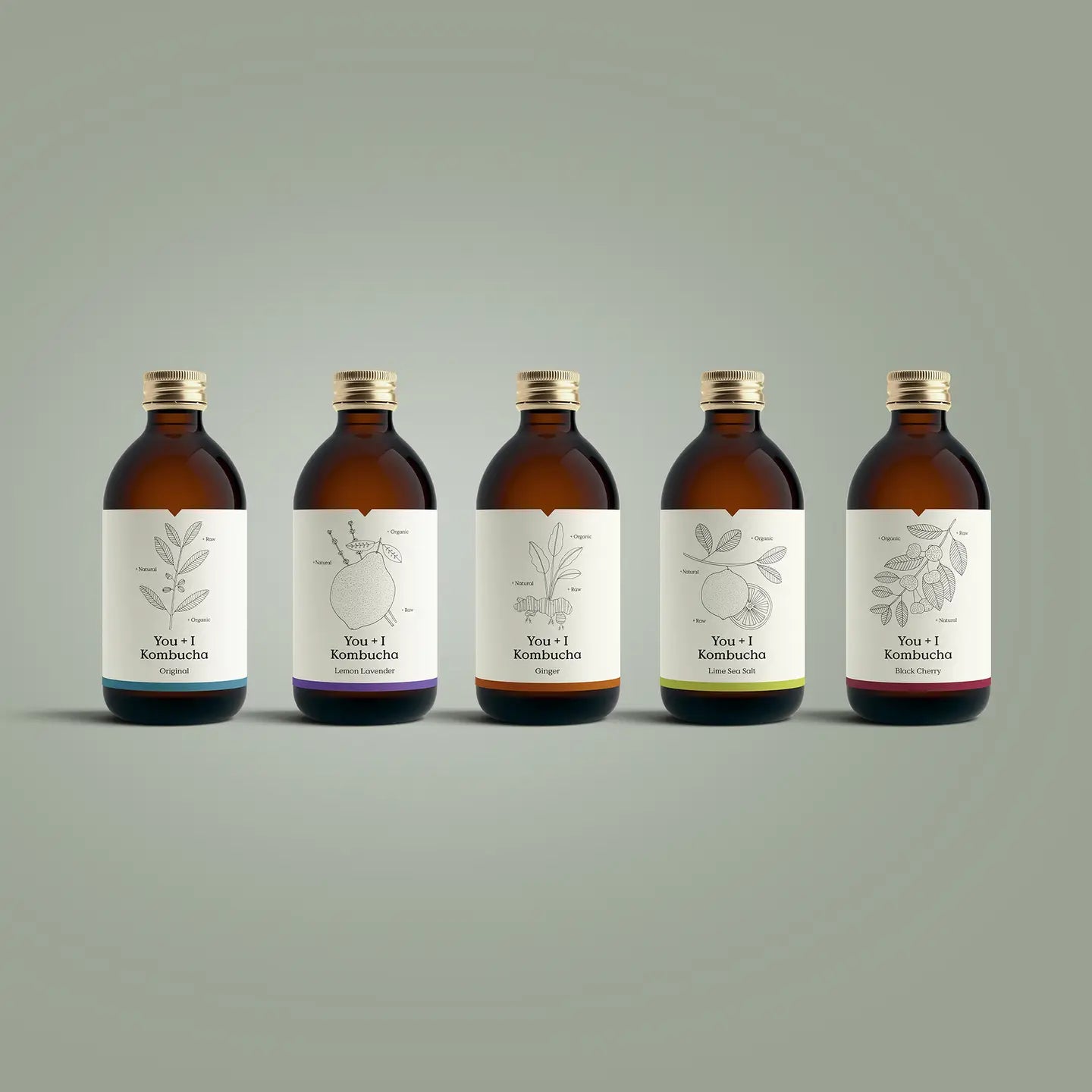 Kombucha Sparkling Living Tea By You + I