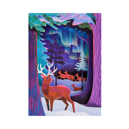 Northern Lights 3D Greeting Card By Oh Deer