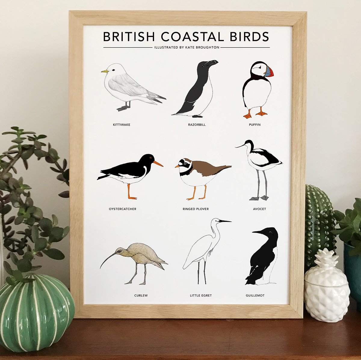 British Coastal Birds A4 Print by Kate Broughton