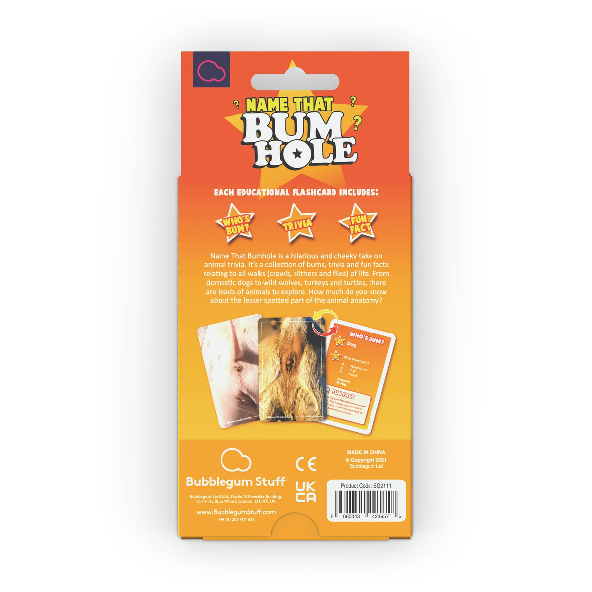 Name That Bumhole | Fun Family Flashcard Trivia Game