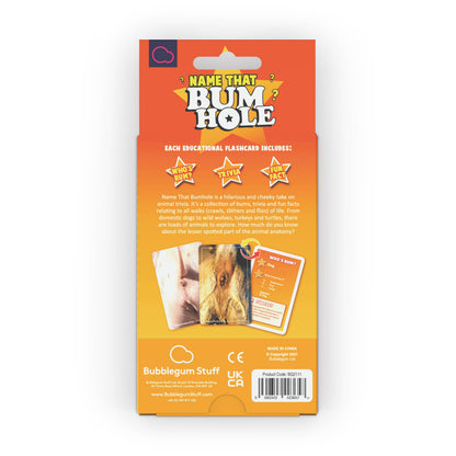 Name That Bumhole | Fun Family Flashcard Trivia Game