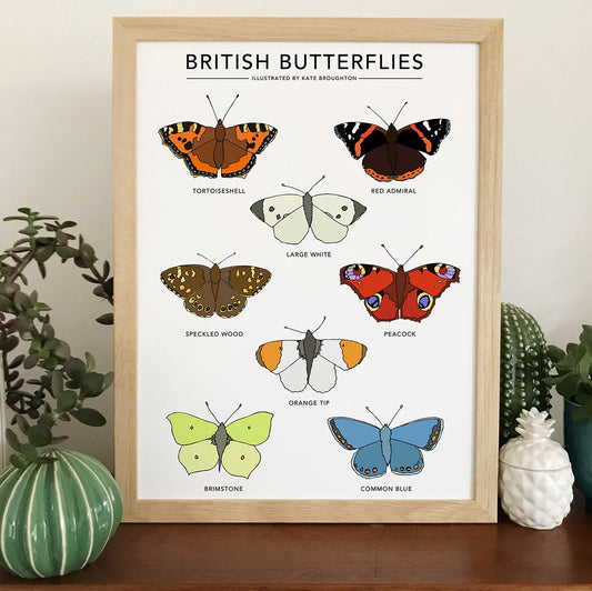 British Butterflies A4 Print by Kate Broughton