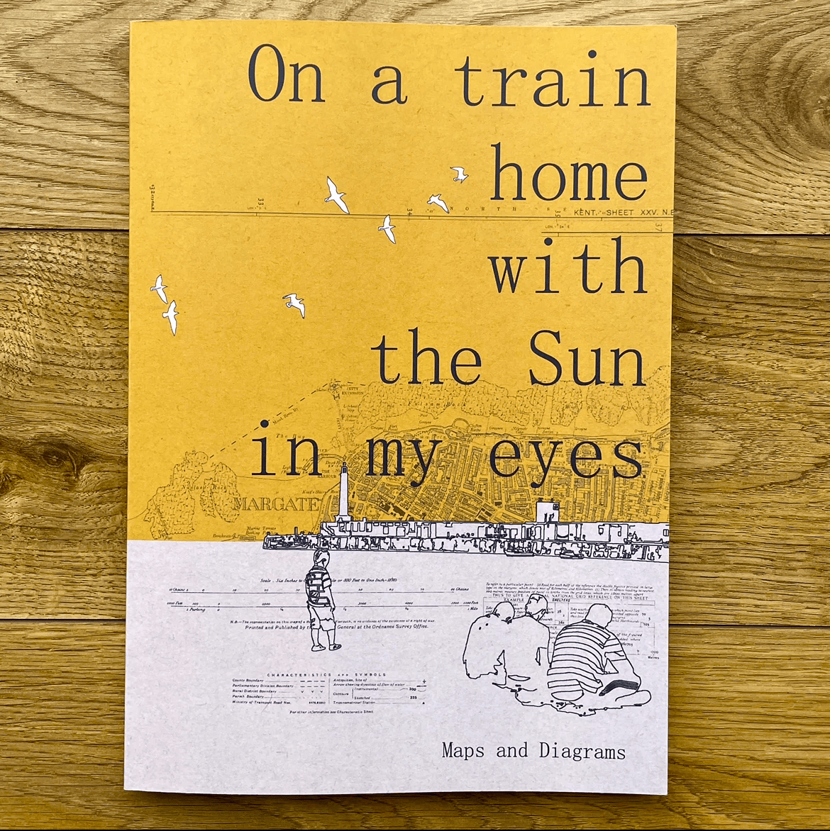 On A Train Home With The Sun In My Eyes - A new book by Chris Snow