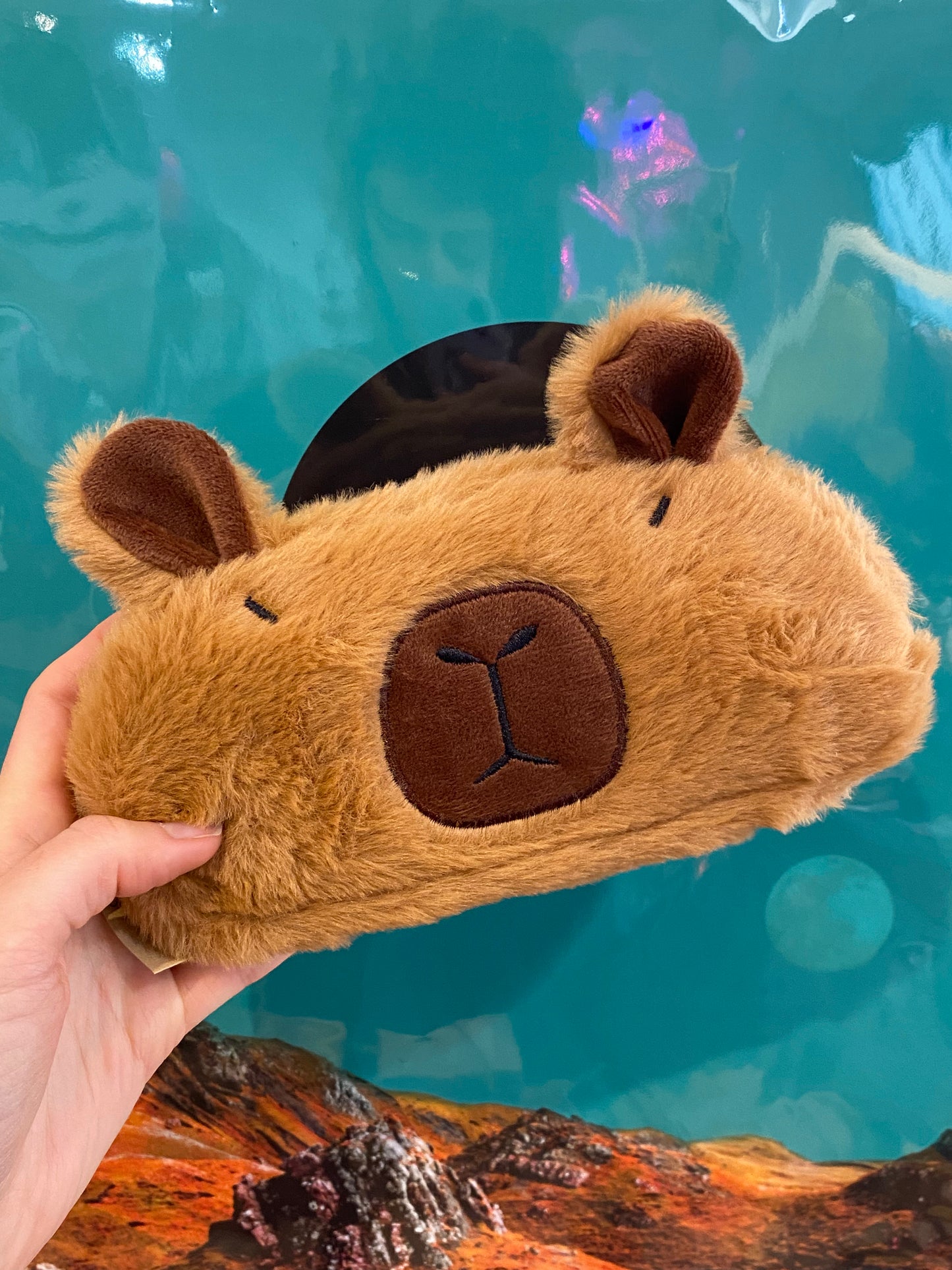 Pencil Case furry Capybara by Stanley Road