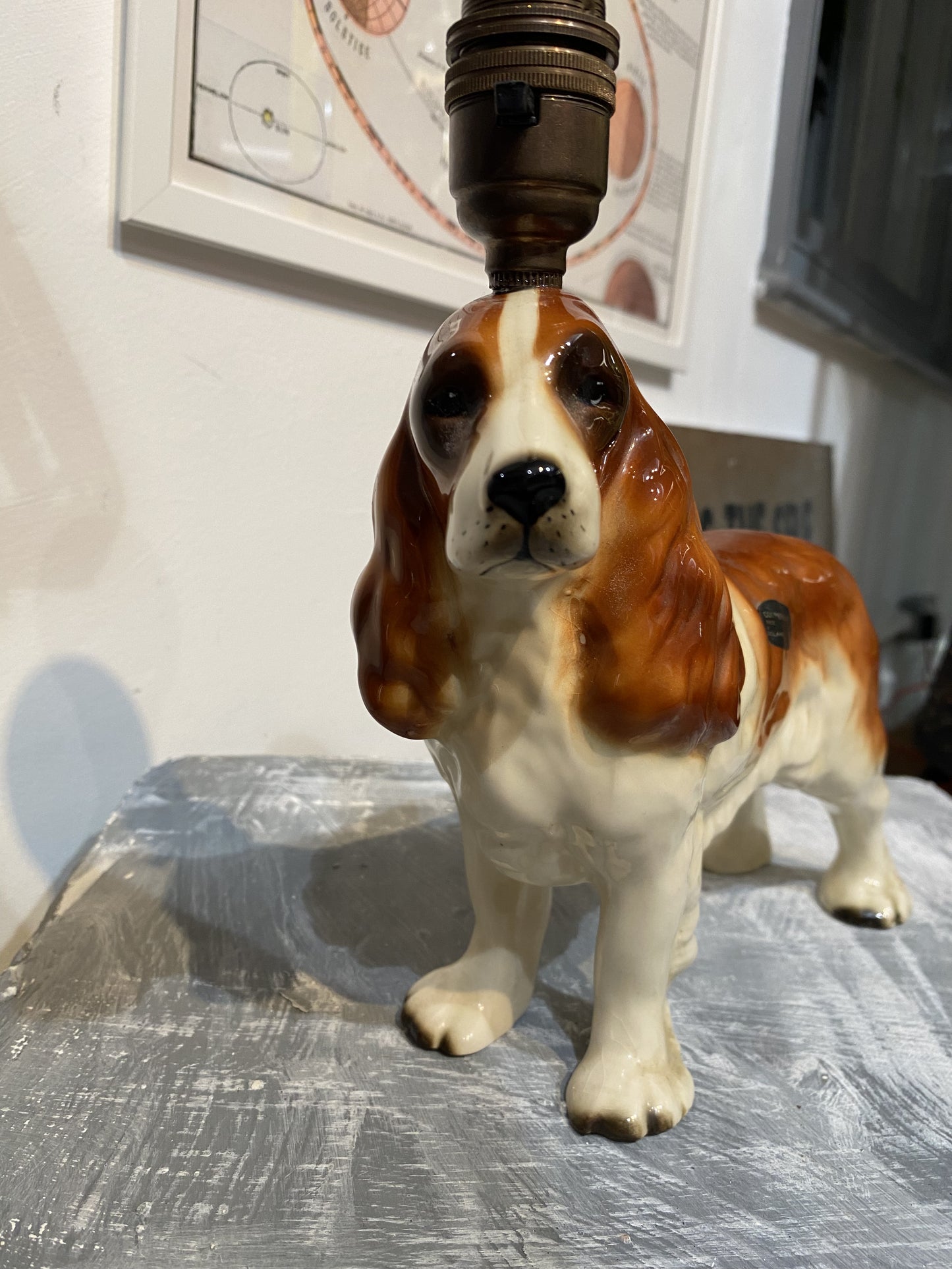 Cocker Spaniel Dog Ceramic Vintage Lamp by Lost & Foundry