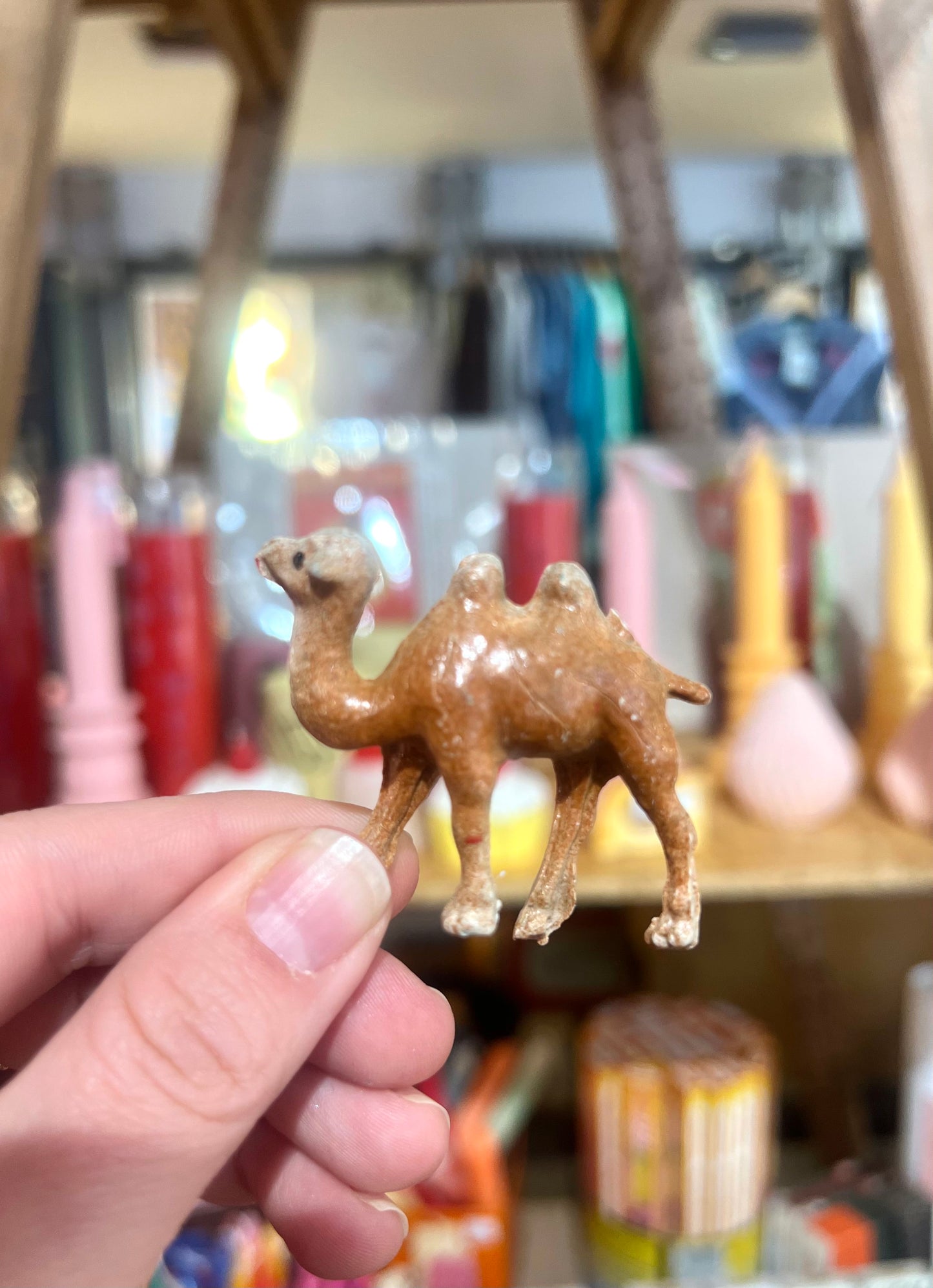 Wonky Little Animal Creatures By Stanley