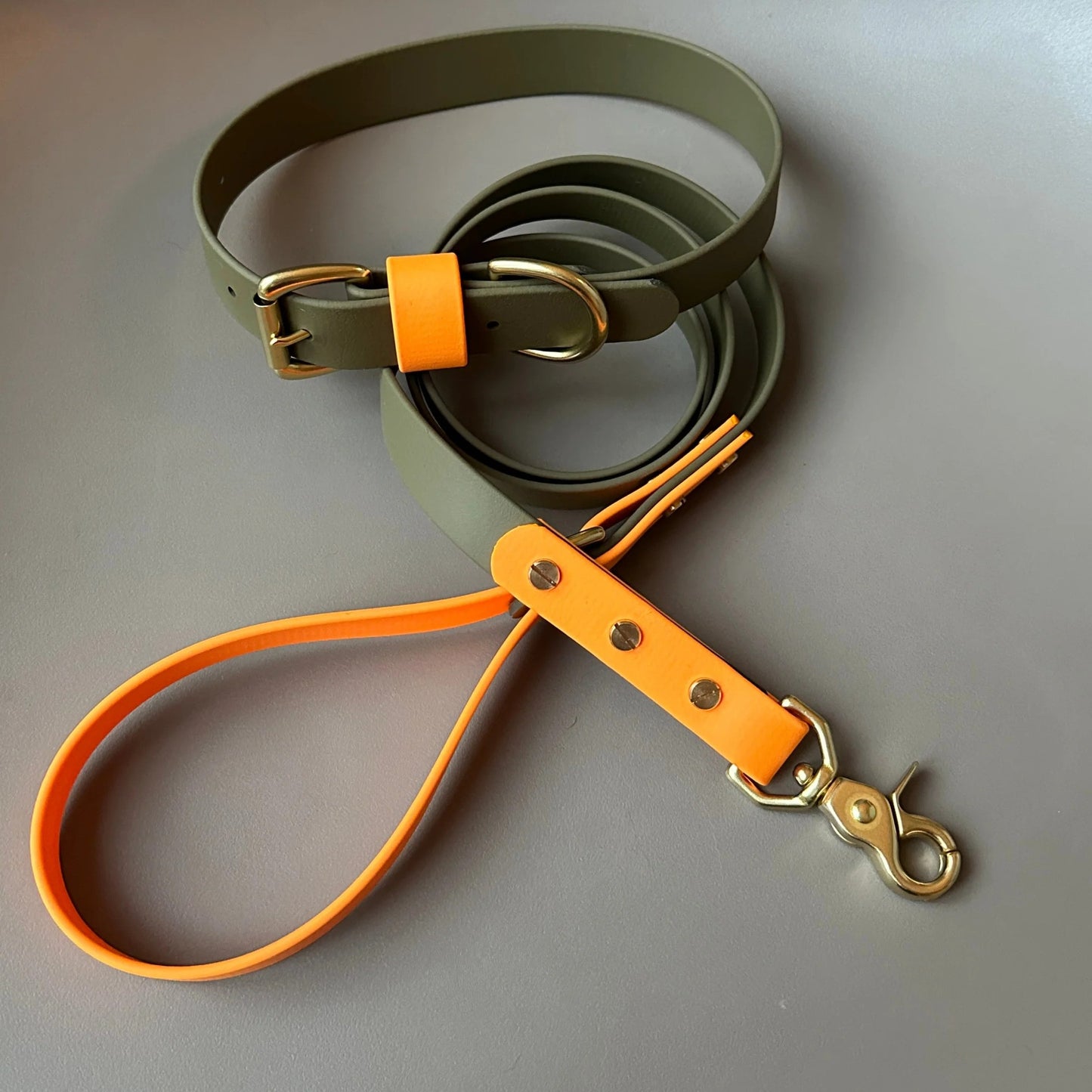 Dougie Colourblock BioThane®  Red Dog Lead By Frank's Goods