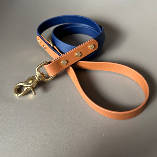 Buddy Colourblock BioThane®  Red Dog Lead By Frank's Goods
