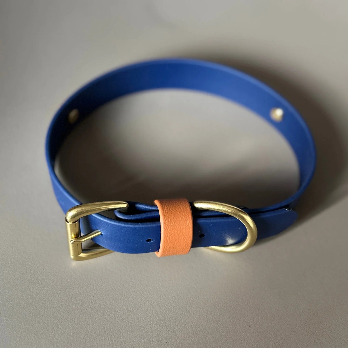 Buddy Colourblock BioThane® Dog Collar By Frank's Goods