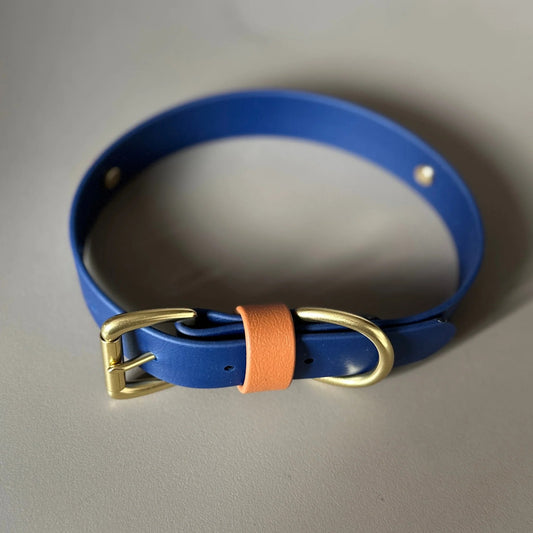 Buddy Colourblock BioThane® Dog Collar By Frank's Goods