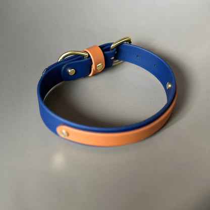 Buddy Colourblock BioThane® Dog Collar By Frank's Goods