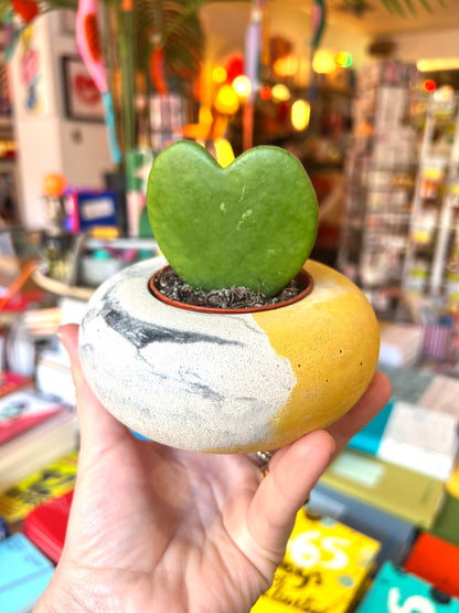 Handmade Yellow Marble Concrete Plant Pot / Candle Holder by ONYX Studio