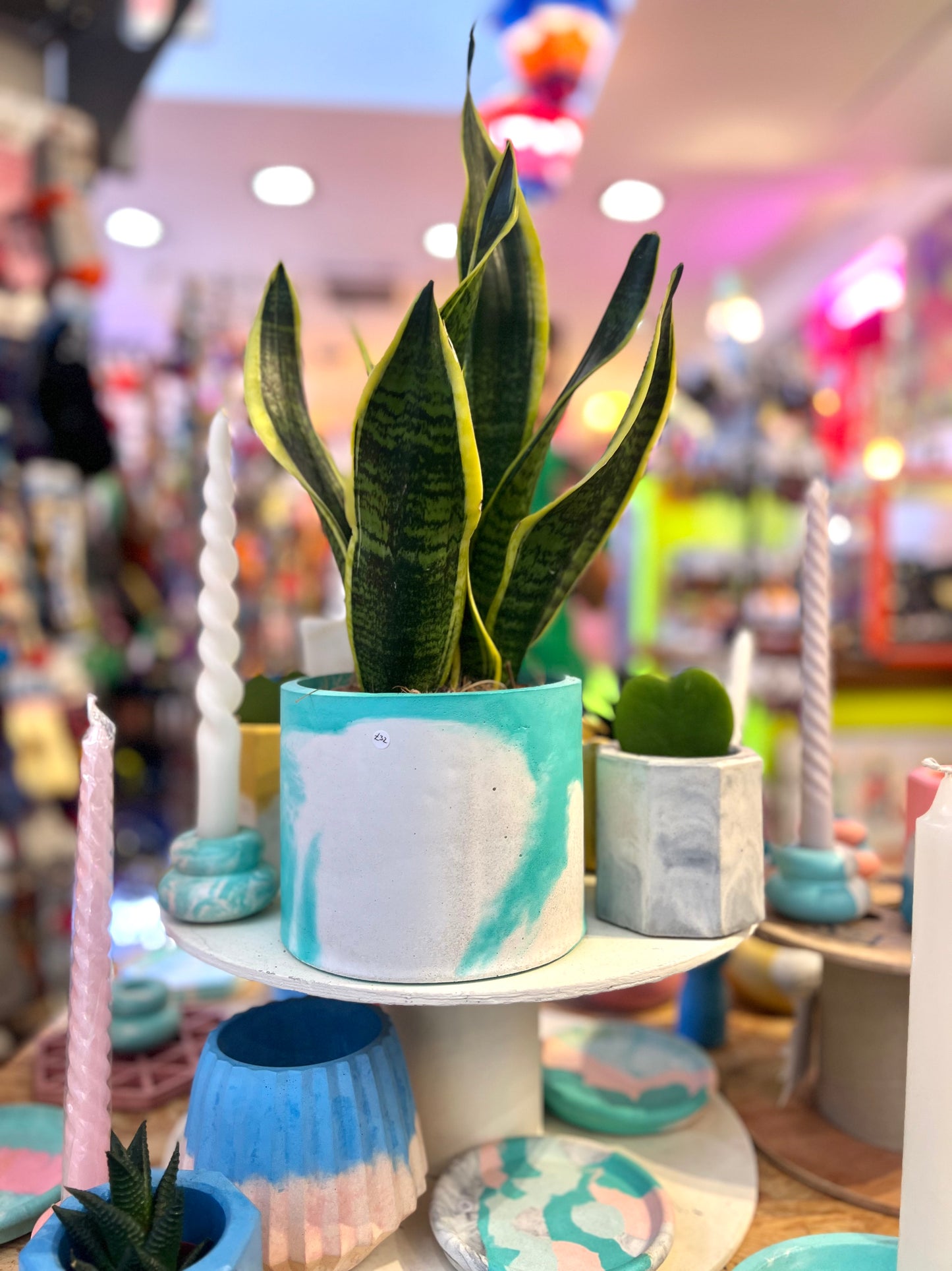 Bicolour Turquoise And White Concrete Plant Pot By Onyx Studio