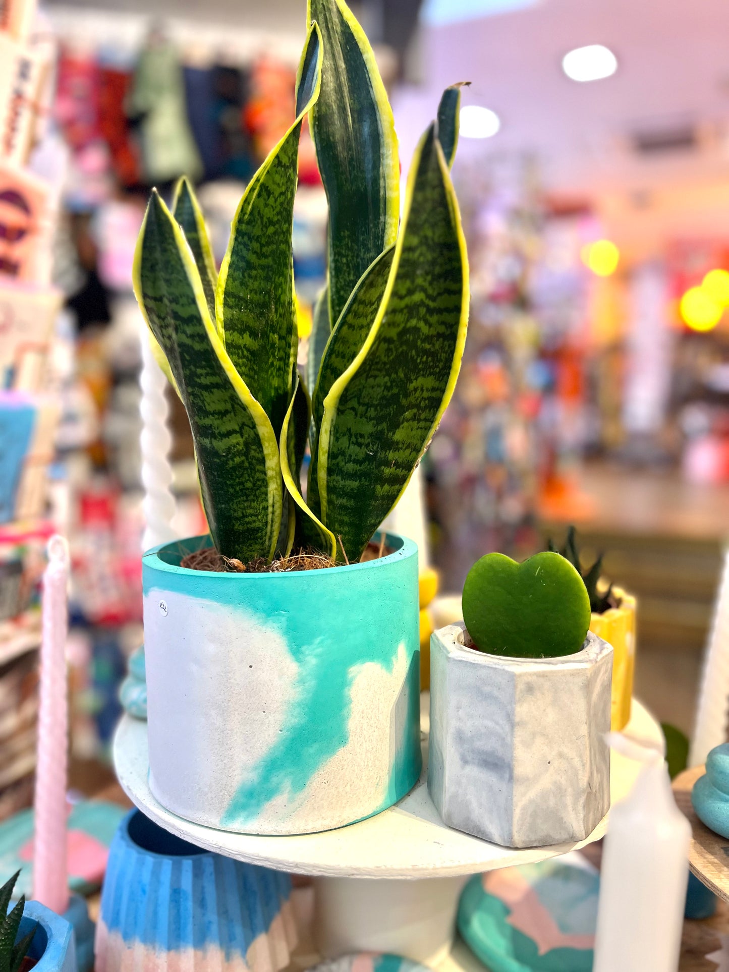 Bicolour Turquoise And White Concrete Plant Pot By Onyx Studio