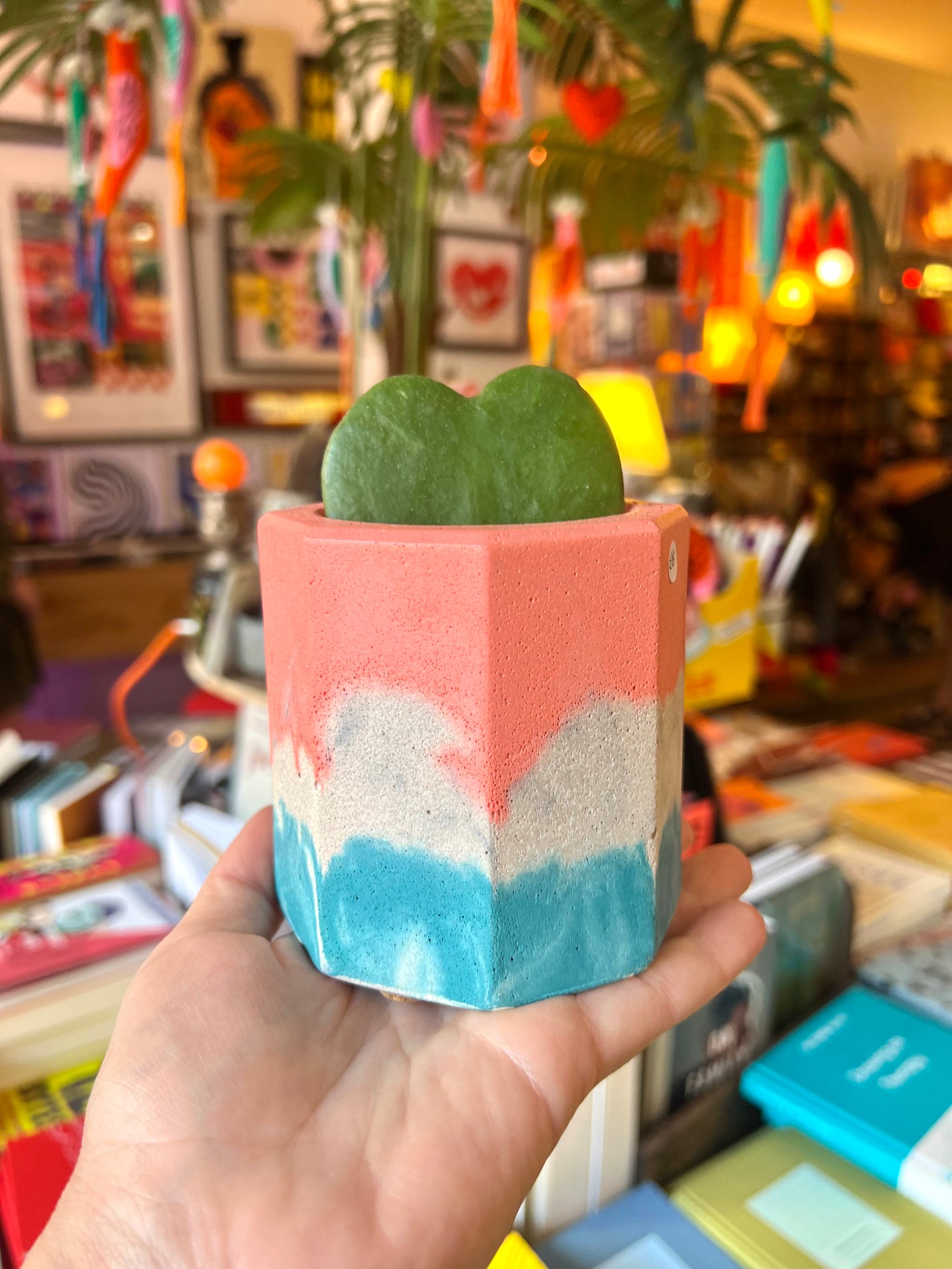 Concrete Blue Plant Pot  by Onyx Studio