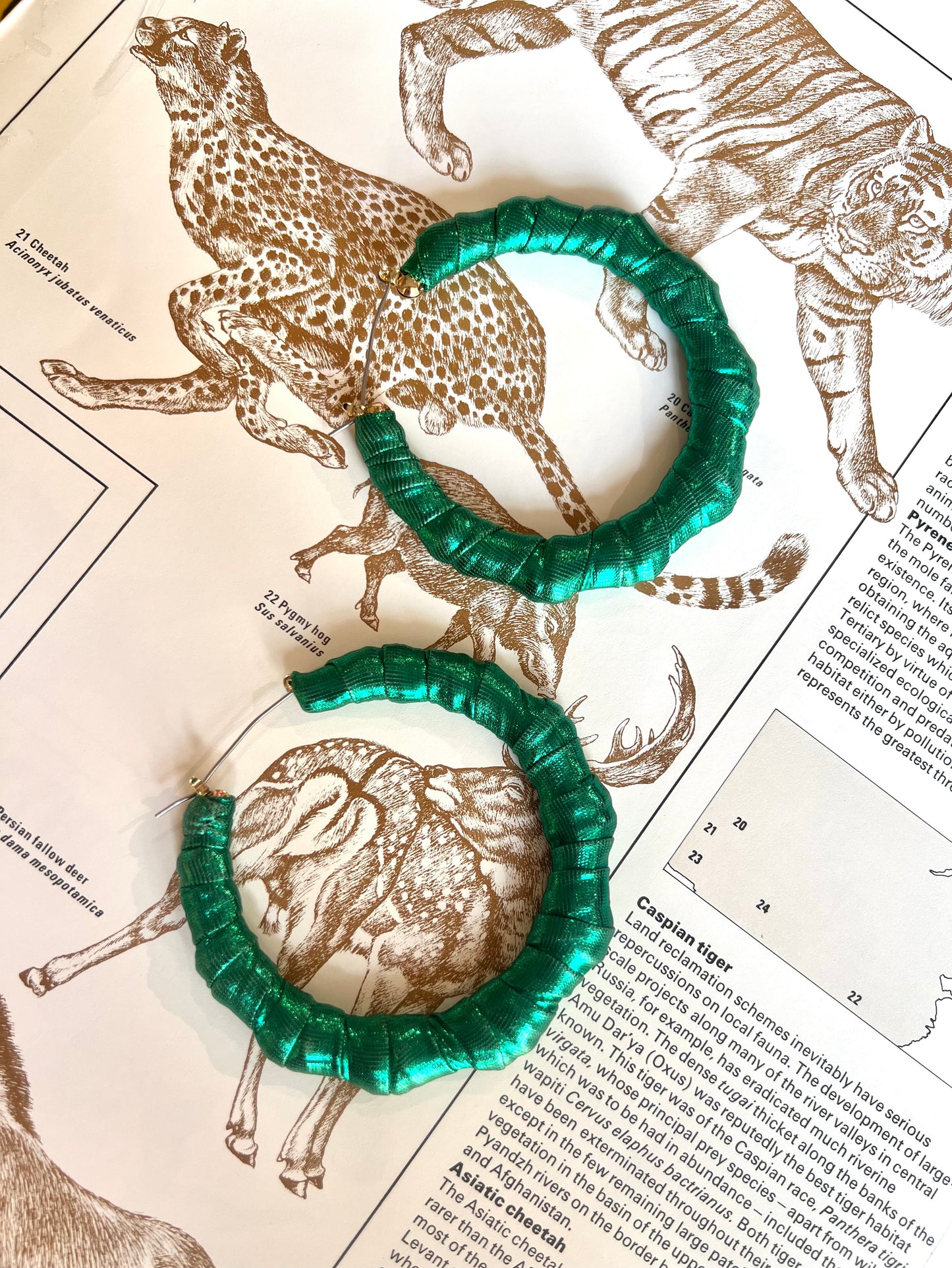 Big Handmade Green Wrapped Earrings by Gangster Wraps