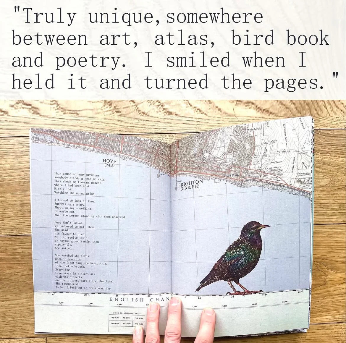 It Started With The Starlings - A book by Chris Snow