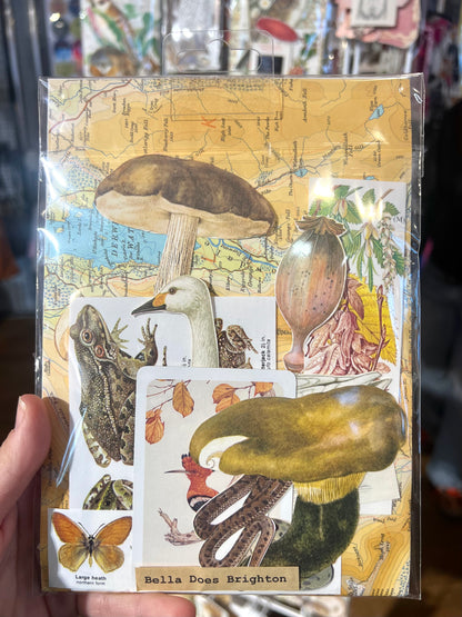 Forest Inspired Vintage Collage Pack By Bella Does Brighton