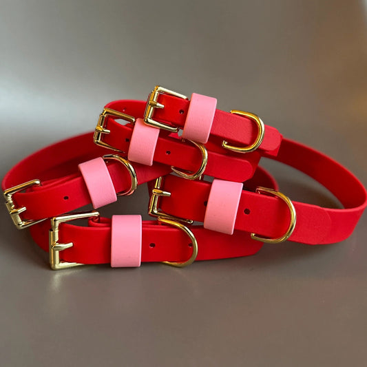 Love Colourblock BioThane® Red Dog Collar By Frank's Goods