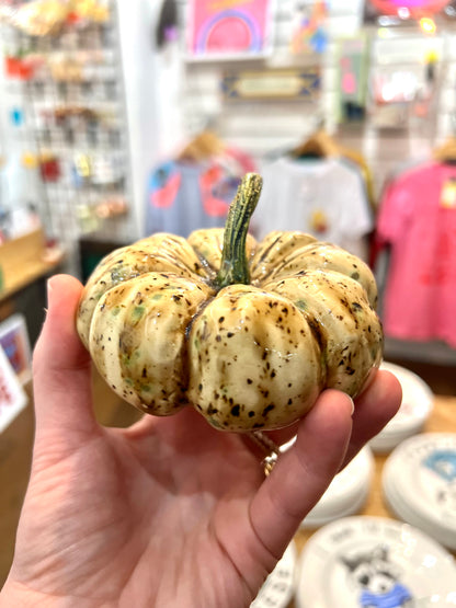 Ceramic Decorative Pumpkin By Pixie Pottery