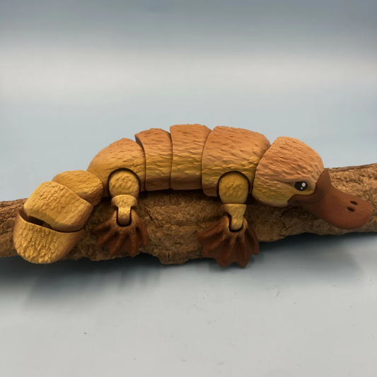 Platypus Sensory Fidget 3D printed by 3Dcre8