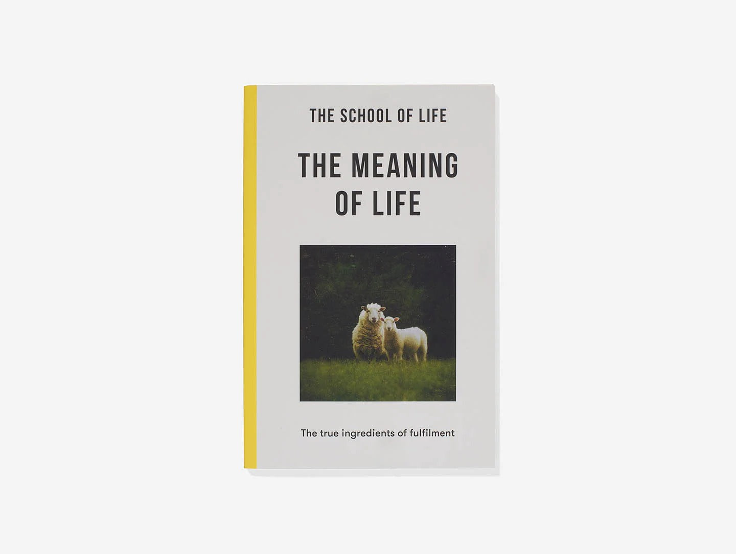 The Meaning Of Life Book by THE SCHOOL OF LIFE